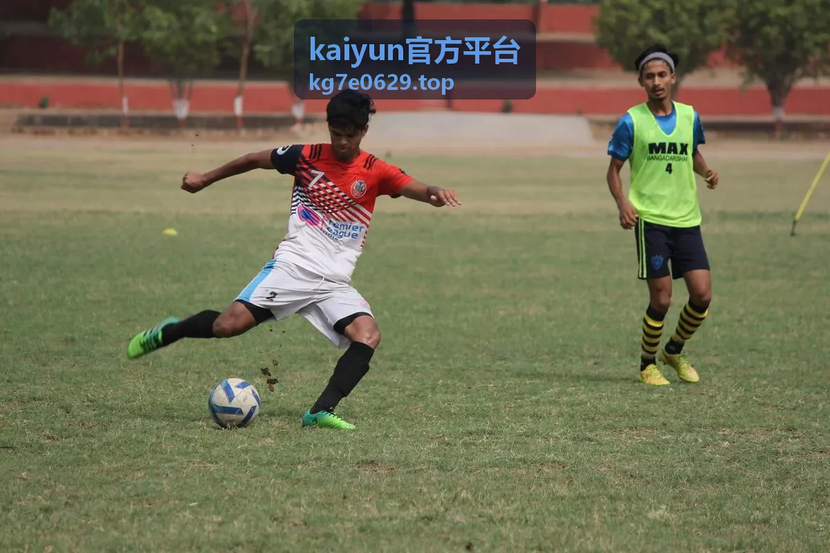 kaiyun官方平台账号权限层级与协作分工说明配图