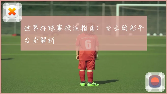 世界杯球赛投注指南：合法购彩平台全解析